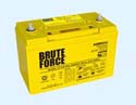 brute force